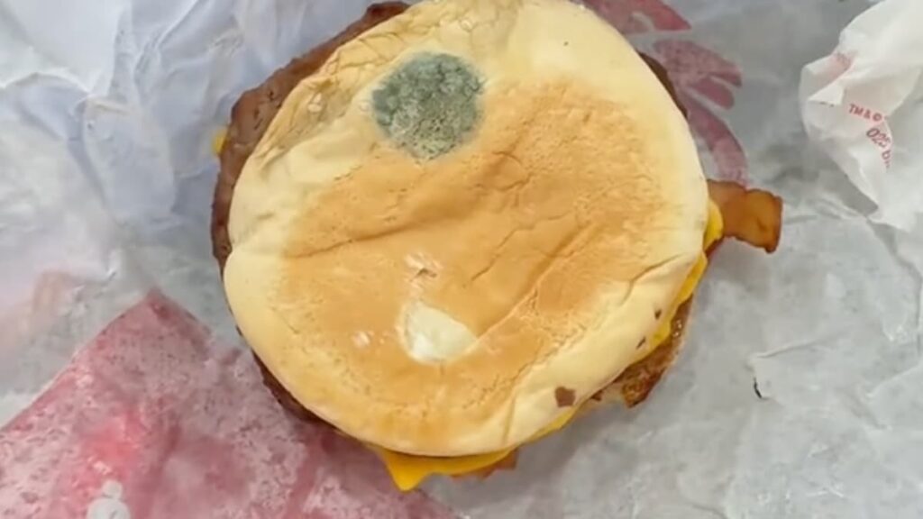Georgia Woman Finds ‘Big Mold Stain’ on Her Son’s Burger King Order, Claims DoorDash Refused to Compensate