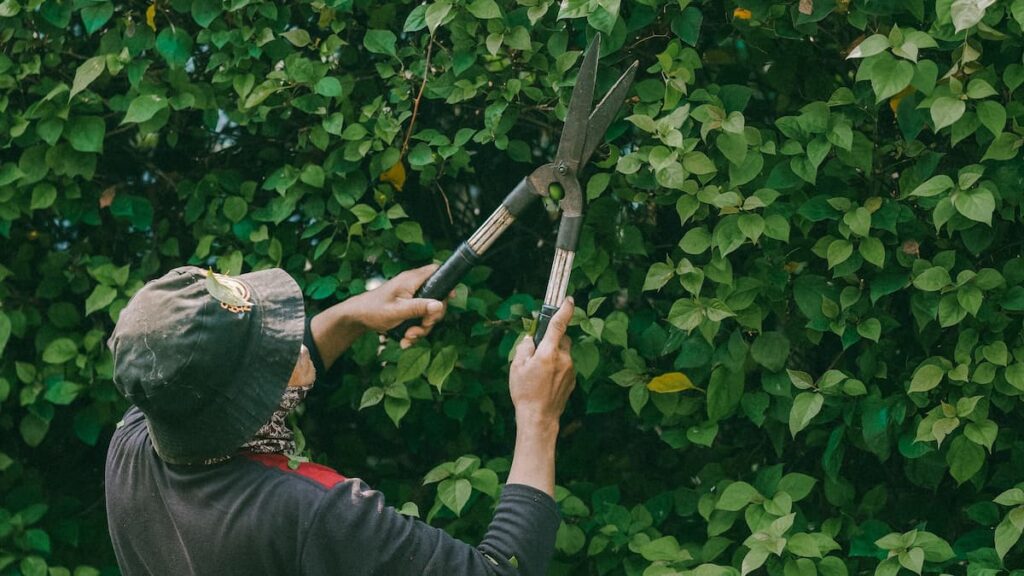 North Carolina Employer Slammed for Allegedly Expecting Employee to Work for Free After Mistake: ‘I Always Go Above and Beyond’ North Carolina, landscaper