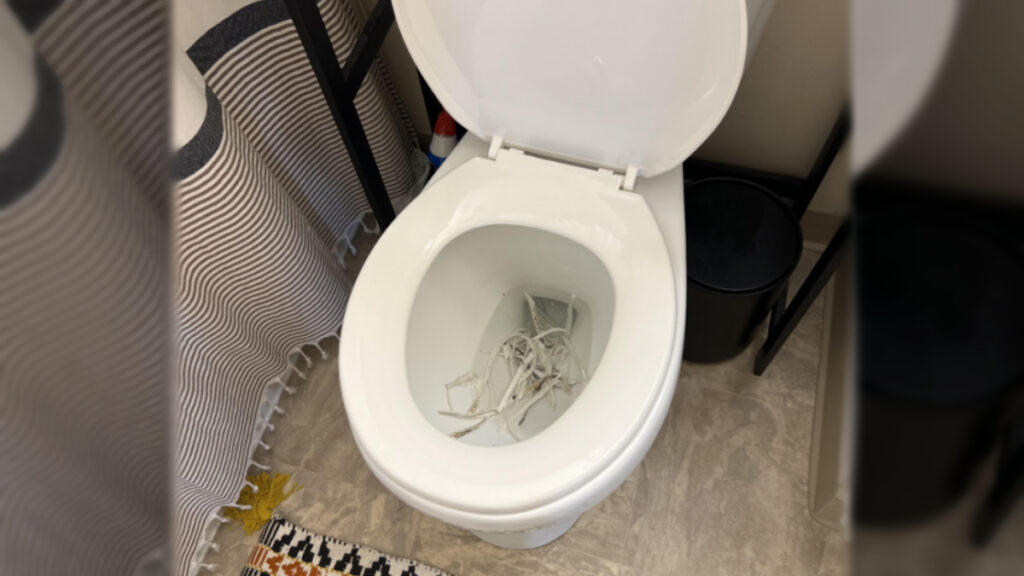 Minnesota Tenant Finds Maintenance Worker Dumping Caulk in Toilet Amid Plumbing Issues: ‘Potentially Thousands of Dollars in Damage’ Minnesota Tenant Finds Maintenance Worker Dumping Caulk in Toilet Amid Plumbing Issues